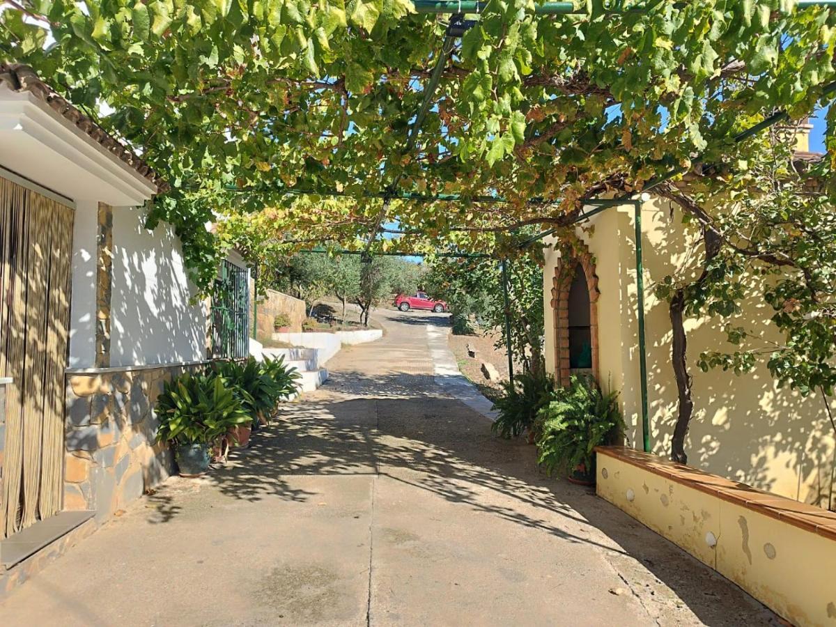 Affittacamere Casa El Pino Cortes de la Frontera Esterno foto