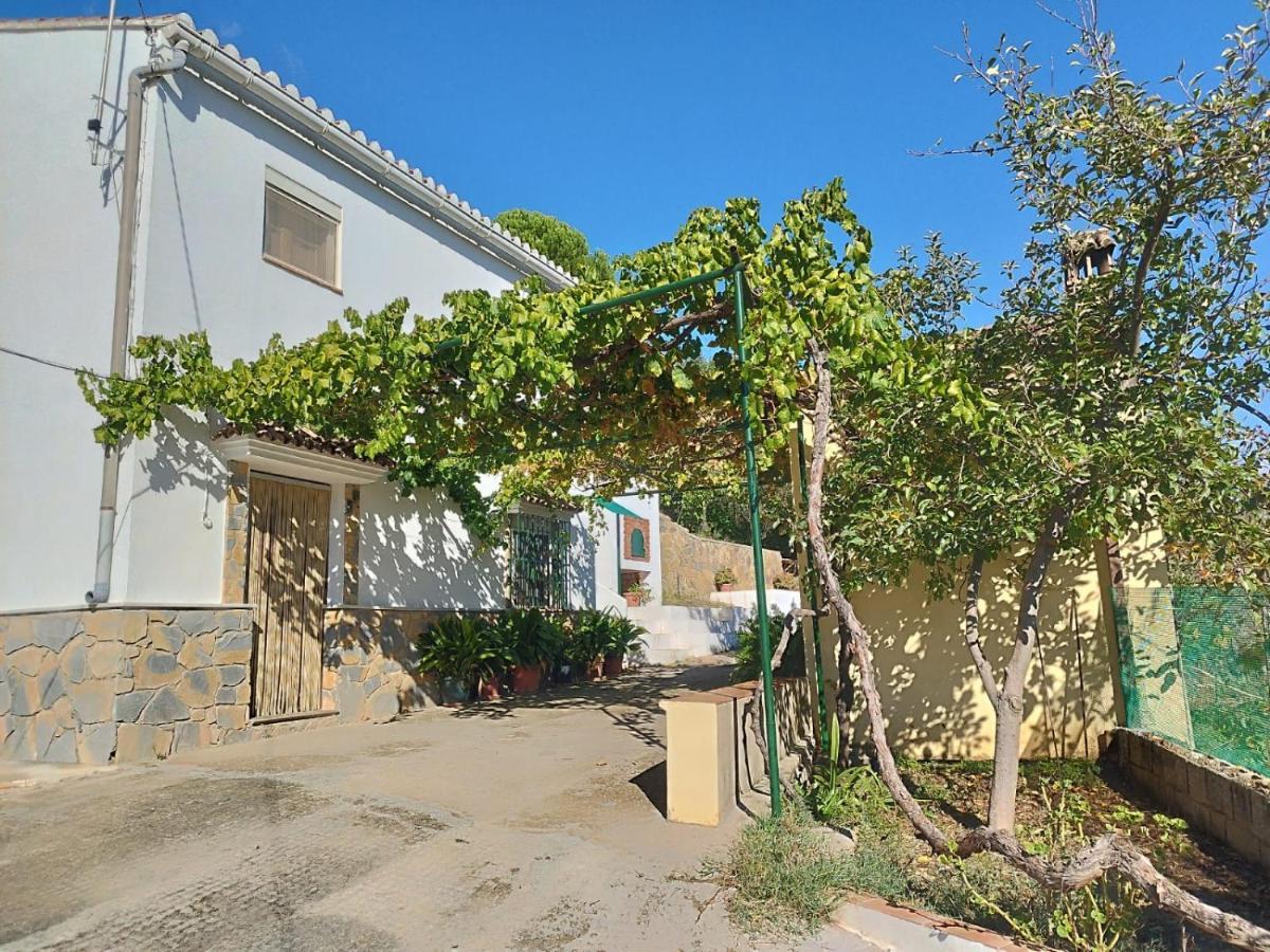 Affittacamere Casa El Pino Cortes de la Frontera Esterno foto