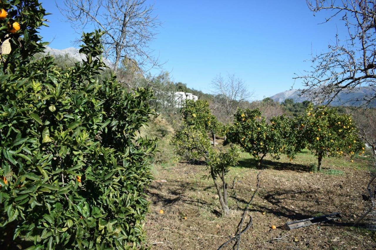 Affittacamere Casa El Pino Cortes de la Frontera Esterno foto