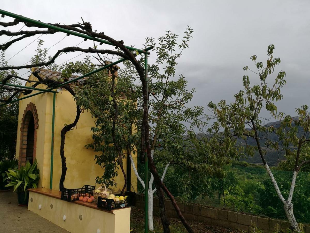 Affittacamere Casa El Pino Cortes de la Frontera Esterno foto